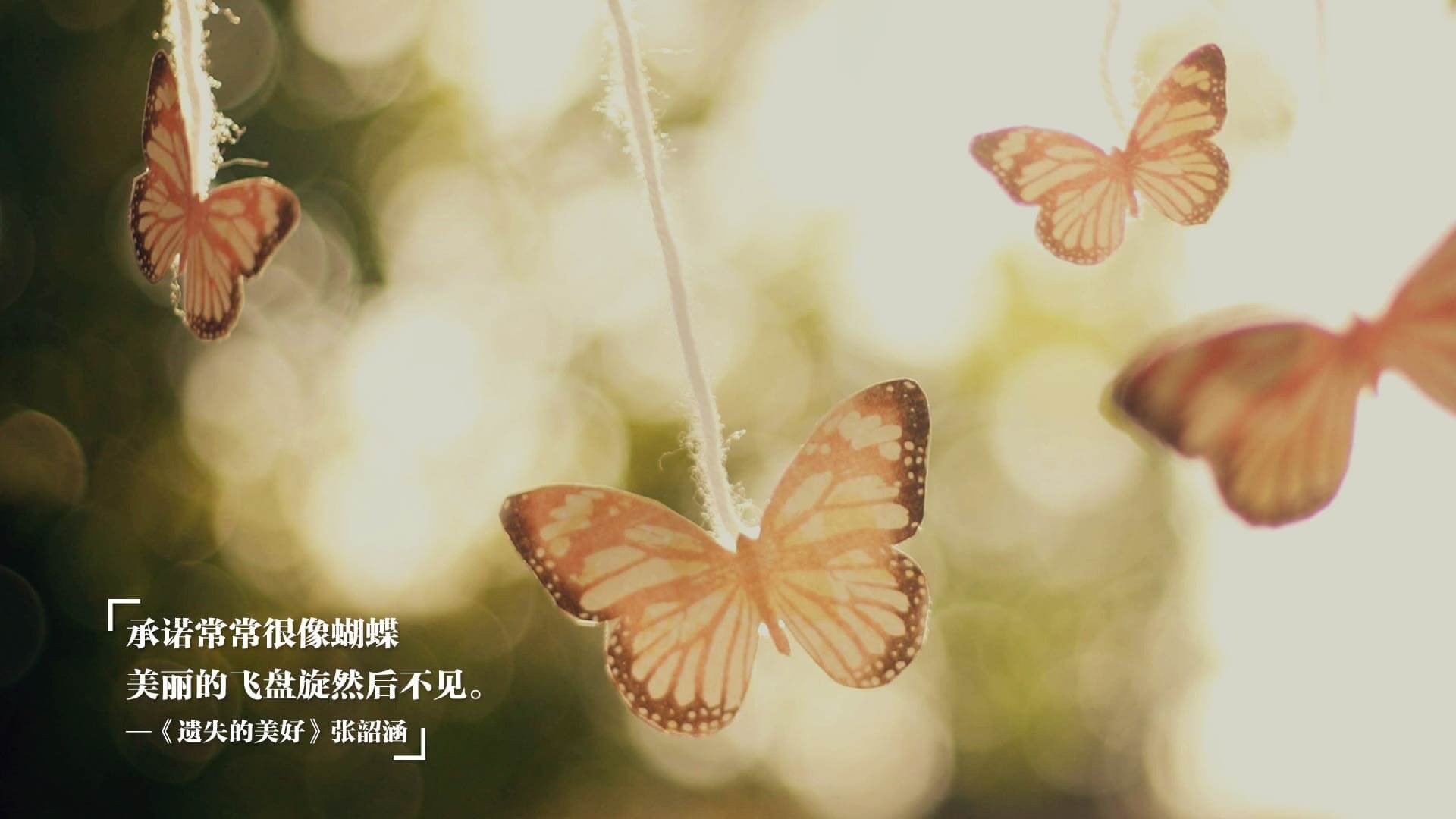 足球人才留洋流程缺乏政策保障机制,足球专业人才培养方案