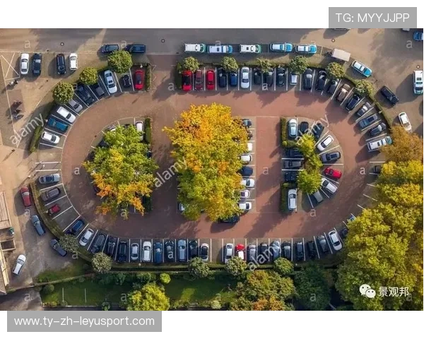 粉丝自制停车接力赛：疯狂创意大放送